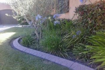River rock stamped curb
